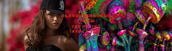 стаф Алексеевка