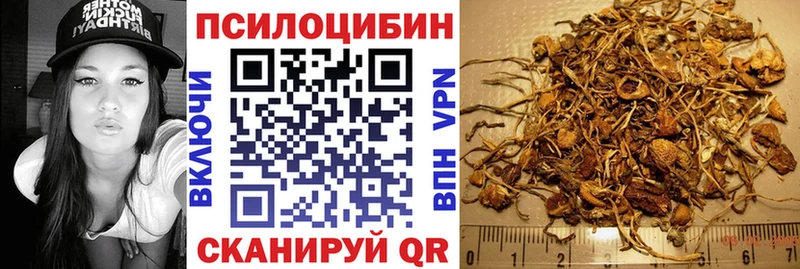Псилоцибиновые грибы прущие грибы  как найти   Дмитровск 